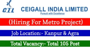 Ceigall India Limited Recruitment 2024