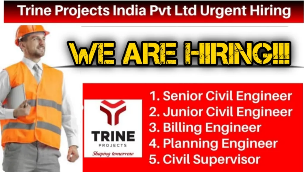 Trine Project India Pvt Ltd Urgent Hiring 2024