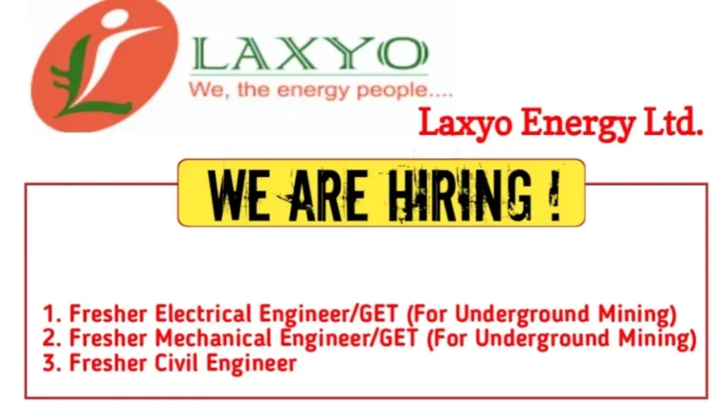 Fresher Job Opening 2024 Laxyo Energy Ltd